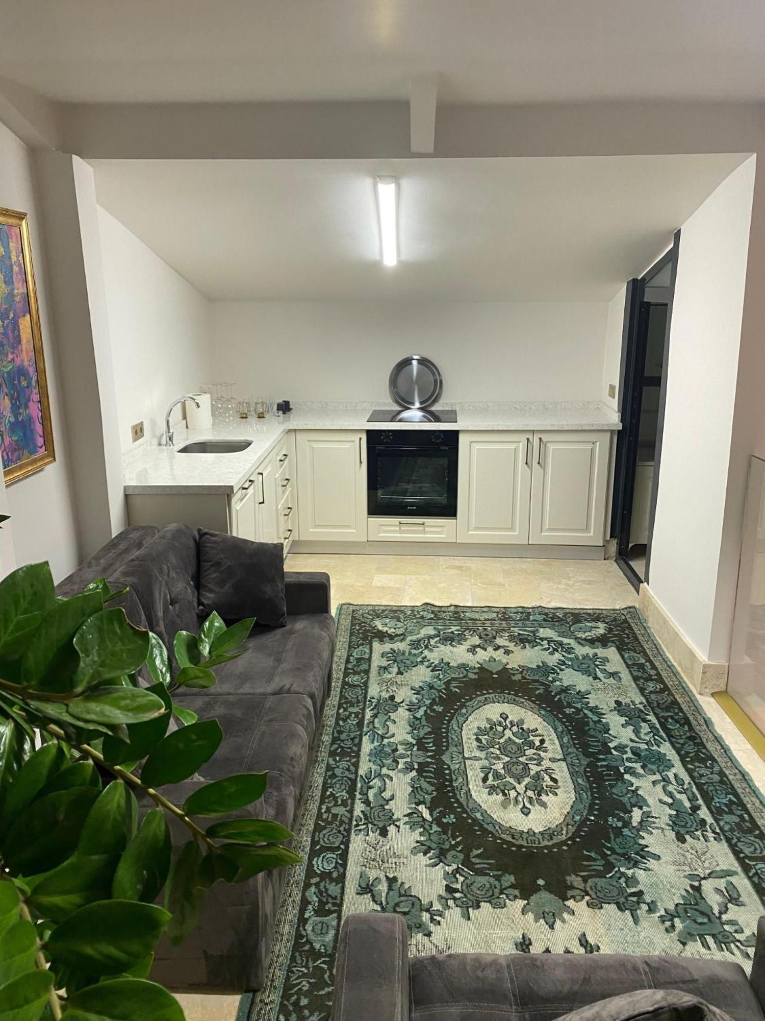 Ab Residences- Private Villa Independent Истанбул Екстериор снимка